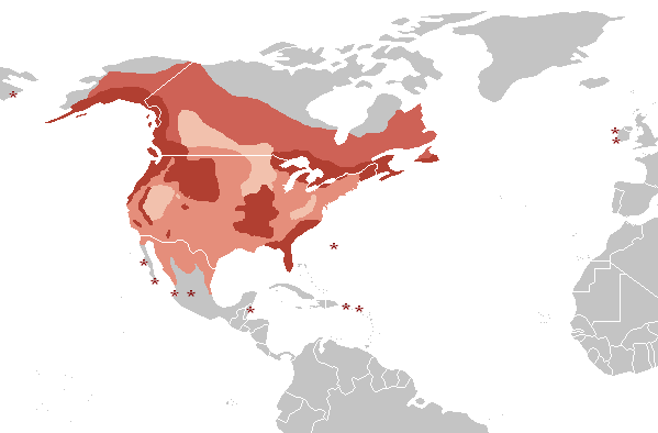 American picture Eagle aguila Bald Distribution_H._leucocephalus