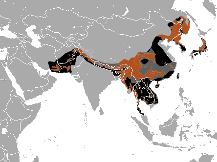 Asian Black Bear distrobution map area