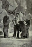Asian Black Bear Photo Gallery