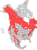 American_Black_bear_map