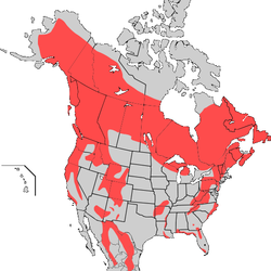 American_Black_bear_map