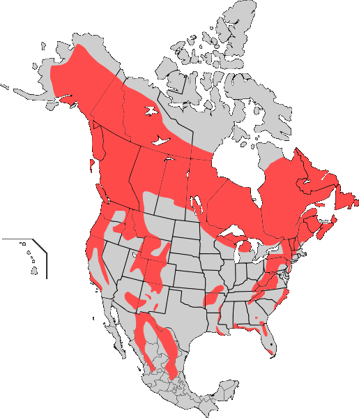 American_Black_bear_map