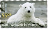 Bears
