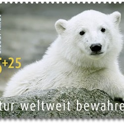 Polar Bear arctic Knut_Briefmarke_2008