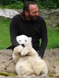 Polar Bear arctic hug cub love