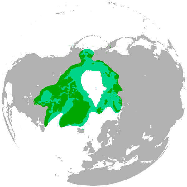 Polar_bear distrobution range_map