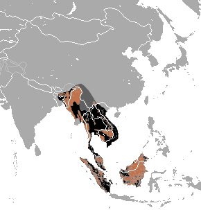 Sun_Bear distrobution map area