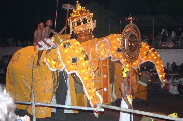 Asian Elephant Indian The_good_luck_elephant