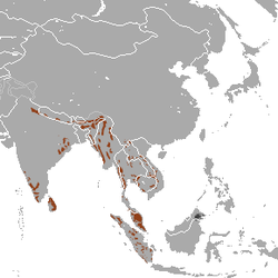 Asian_Elephant_area