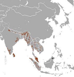 Asian_Elephant_area