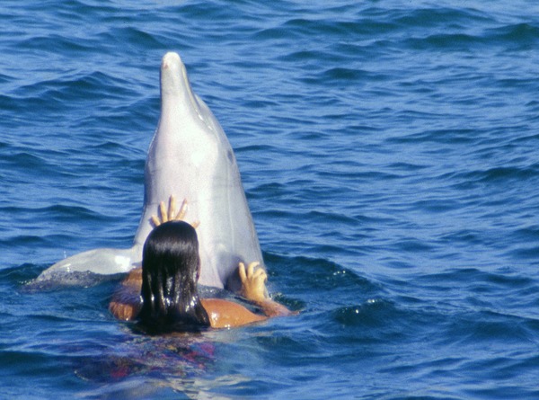 Bottlenose Dolphin Girl_playing_with_Bottlenose_Dolphin_Tursiops_Truncatus Tursiops Delphinidae delfin