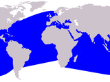 Cetacea_range_map_Bottlenose_Dolphin