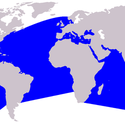 Cetacea_range_map_Bottlenose_Dolphin