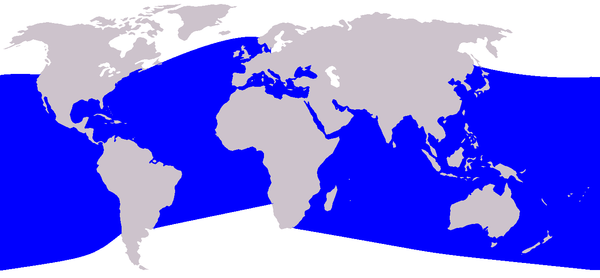 Cetacea_range_map_Bottlenose_Dolphin