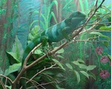 Reptiles