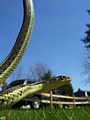 Reptiles
