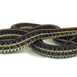 picture snake Colubridae garden serpent gater Thamnophis common Plains_gartersnake