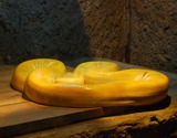Reptiles