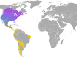 Skunk_genera_ranges