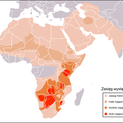 Cheetah Map