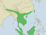 Clouded Leopard Distrobution Map