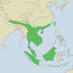 Clouded Leopard Distrobution Map