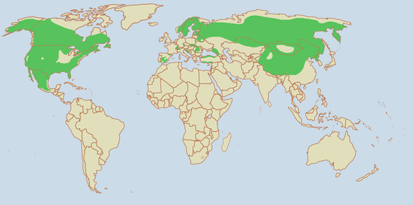 Lynx distribution map range