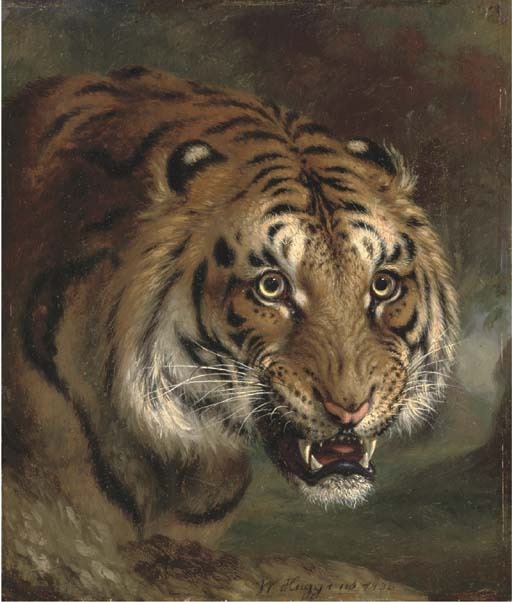 Tiger growl Picture Photo Image Bengal Tiger face